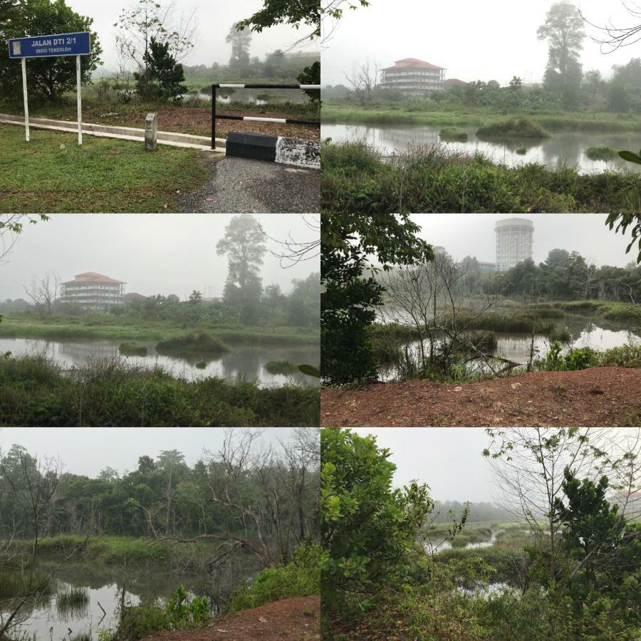 Patin Guest House @Desa Telok Ira, Temerloh Pahang Kampong Paya Kerinau Exteriör bild